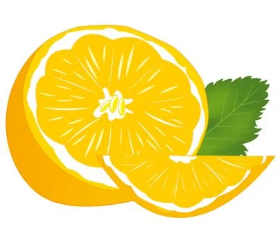 Ripe fruit tangerine Stock Illustration