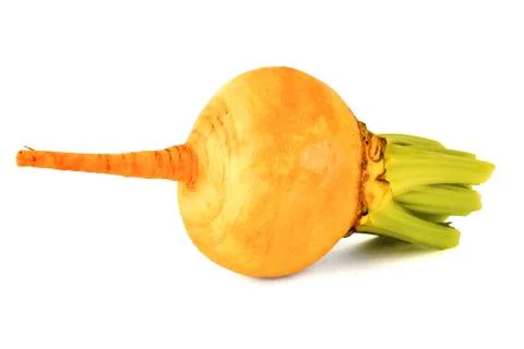 Ripe fruit turnip Stock Photos