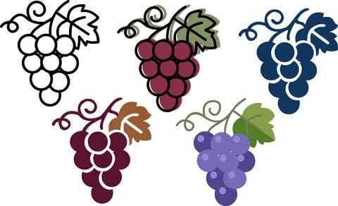 Ripe grape cluster with leaves graphic icon set Stock Illustration
