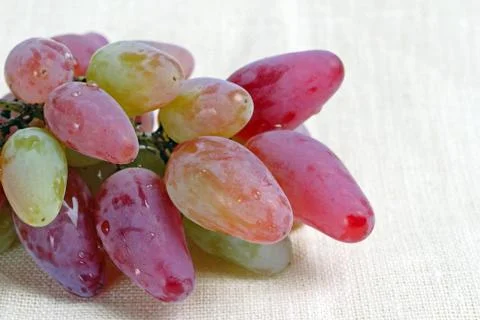 Ripe grape Foto stock