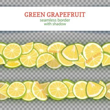 Ripe grapefruit fruit horizontal seamless borders. Vector illustration card Stock Illustration