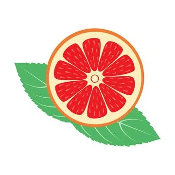 Ripe Grapefruit Round Slice With Green Leaves Illustration Illustrazione stock