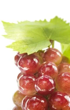 Ripe grapes with leaf Stock Photos