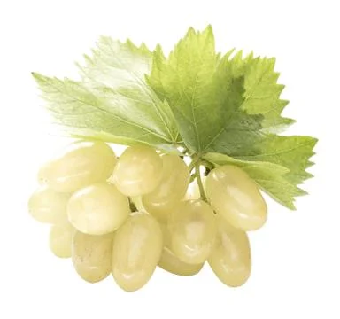 Ripe grapes with leaf Stock Photos