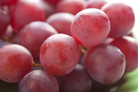 Ripe grapes Foto stock