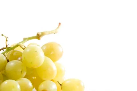 Ripe grapes Stock Photos