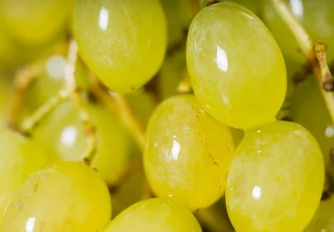 Ripe green grape texture Stock-Fotos