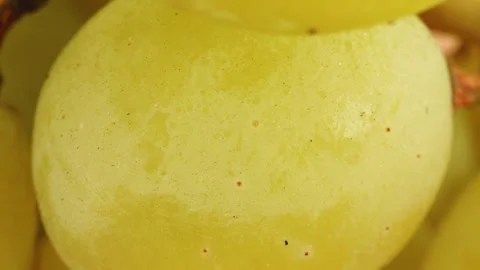 Ripe green grapes close up rotating camera motion stock footage Видео 337089939