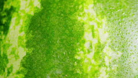 Ripe green watermelon pattern. Healthy nutrition fruit. Vegan diet with fruits Stock Footage 162162610