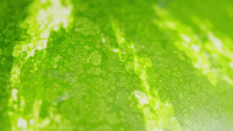 Ripe green watermelon pattern. Healthy nutrition fruit. Vegan diet with fruits Stock Footage 162221526
