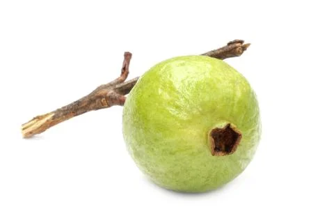 Ripe guava Stock Photos