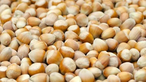 Ripe hazelnut close-up as a background Stock Photos