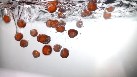 Ripe hazelnut hazelnut plunges under water in slow motion Stock Footage 109153501