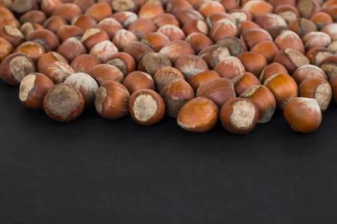 Ripe hazelnuts on black surface with copy space. Stock Photos