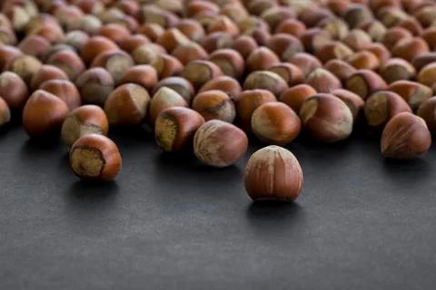 Ripe hazelnuts on black surface with copy space. Stock Photos
