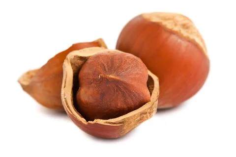 Ripe hazelnuts Stock Photos