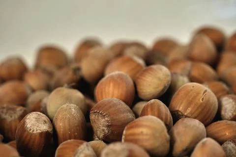 Ripe hazelnuts Foto stock