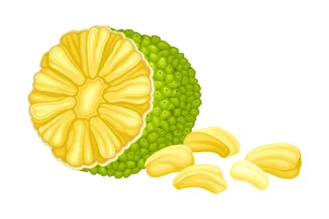 Ripe Jackfruit with Green Pimpled Shell and Fibrous Core Vector Illustration Stock Illustration