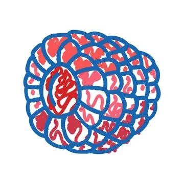 Ripe juicy raspberry fruit icon doodle illustration Stock Illustration