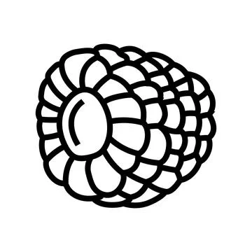 Ripe juicy raspberry fruit line icon vector illustration イラスト素材