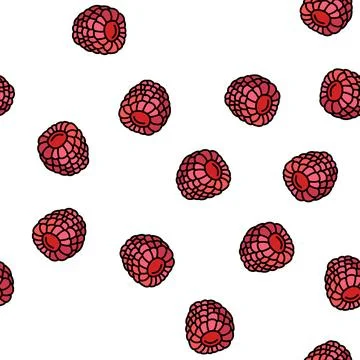 Ripe juicy raspberry fruit vector seamless pattern Stock Illustration