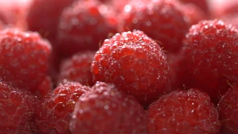 Ripe juicy raspberry rotates Stock Footage 77805598