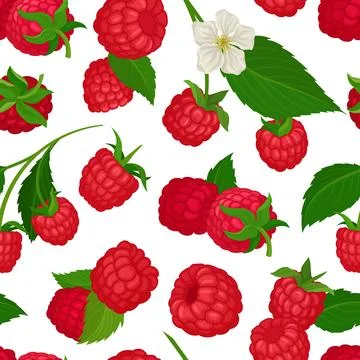 Ripe juicy raspberry seamless pattern. Organic ripe berries, healthy natural 스톡 일러스트