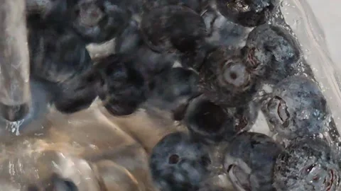 Ripe large blueberries float in the water Stock Footage 318799767