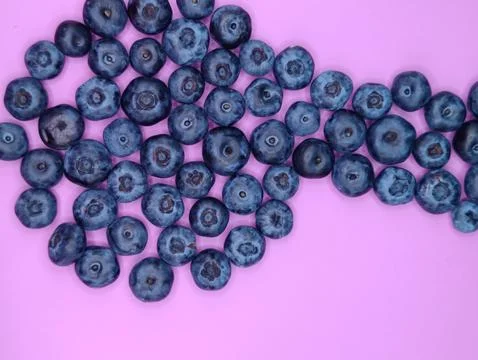 Ripe large blueberries Stock Photos