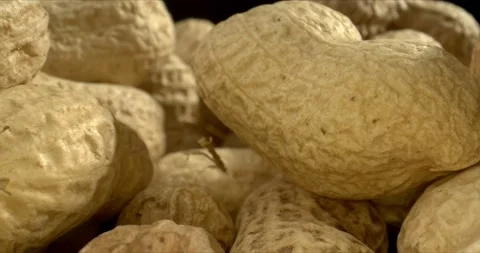 Ripe large peanuts, close up. Mound of Large Peanuts on black background Stock Footage 148808451