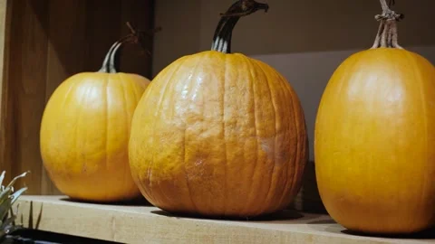 Ripe large pumpkins on the counter of a vegetable shop, close-up Stock Footage 252319041
