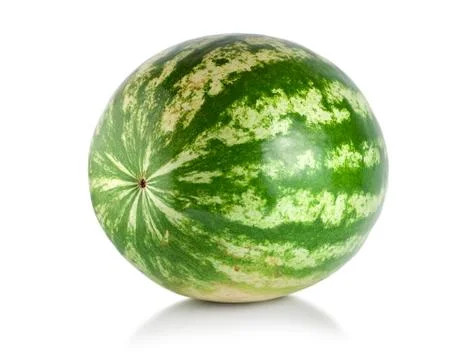 Ripe large watermelon Stock Photos
