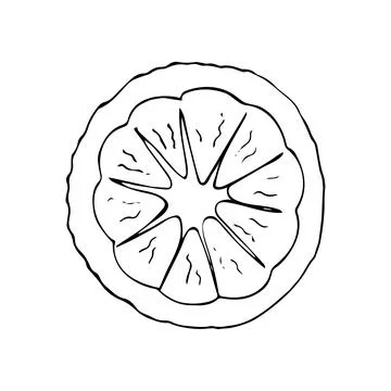 Ripe lemon fruit slice. Hand-drawn half lemon. Fresh and Juicy Lemon isolat.. Stock Illustration