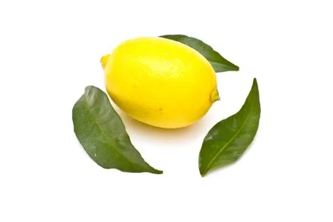 Ripe lemon on white background 스톡 사진