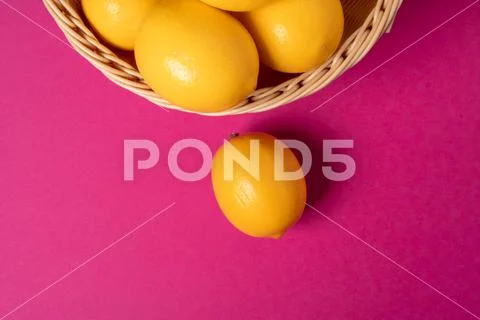 Ripe lemons on bright pink paper background Stock Photos