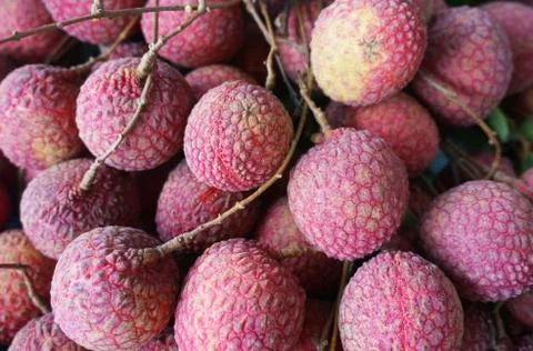 Ripe lychee Stock Photos