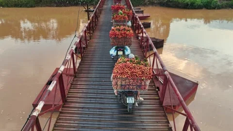 Ripe lychee transported by motorcycle across a bridge in Luc Ngan, Bac Ninh, Vie Stock-Footage 342811933