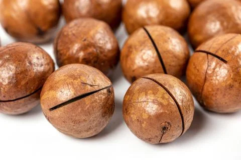 Ripe macadamia nuts close up Foto stock