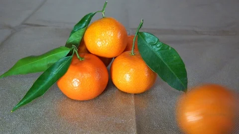 Ripe Mandarines Stack on a Table. Another Mandarine runs in front of them Stock Footage 100156411