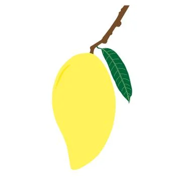 Ripe mango and leaf with branch Stock Illustration
