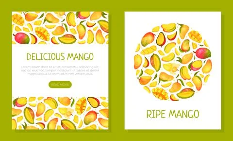 Ripe Mango Banner Design with Bright Tropical Fruit Vector Template Ilustración de archivo
