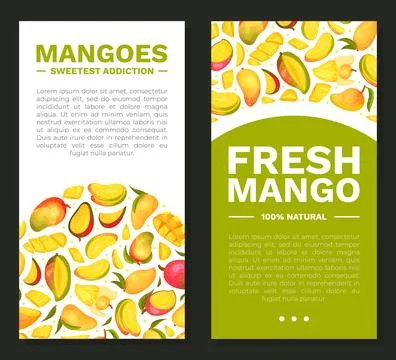 Ripe Mango Banner Design with Bright Tropical Fruit Vector Template Ilustración de archivo