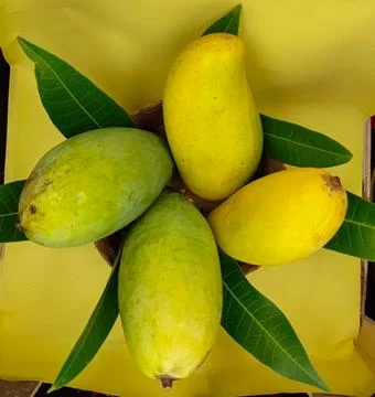 Ripe mango fruit Stock Photos