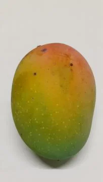 Ripe Mango Isolated on White Background Stock Photos