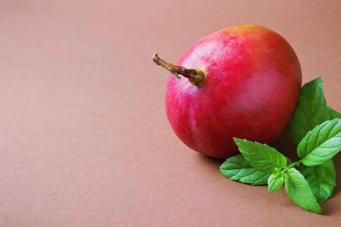 Ripe mango Stock Photos