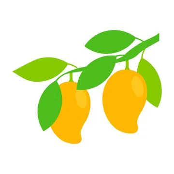 Ripe Mango tree bunch vector illustration isolated on white background Stock Illustration