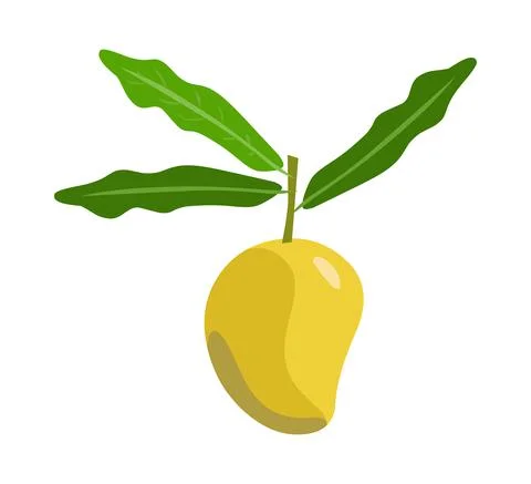 Ripe mango vecor Stock Illustration