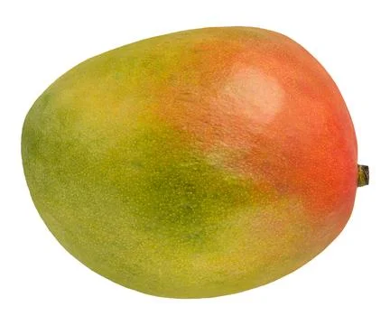 Ripe mango on a white isolated background. A ripe, fresh and whole mango on a Stock Photos