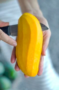 Ripe mango. Woman using a knife to peel ripe fruit, yellow, fragrant and swee Stock Photos