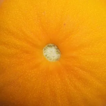 Ripe melon, background. Stock-Fotos
